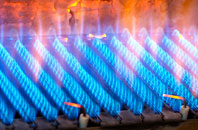 Edgton gas fired boilers